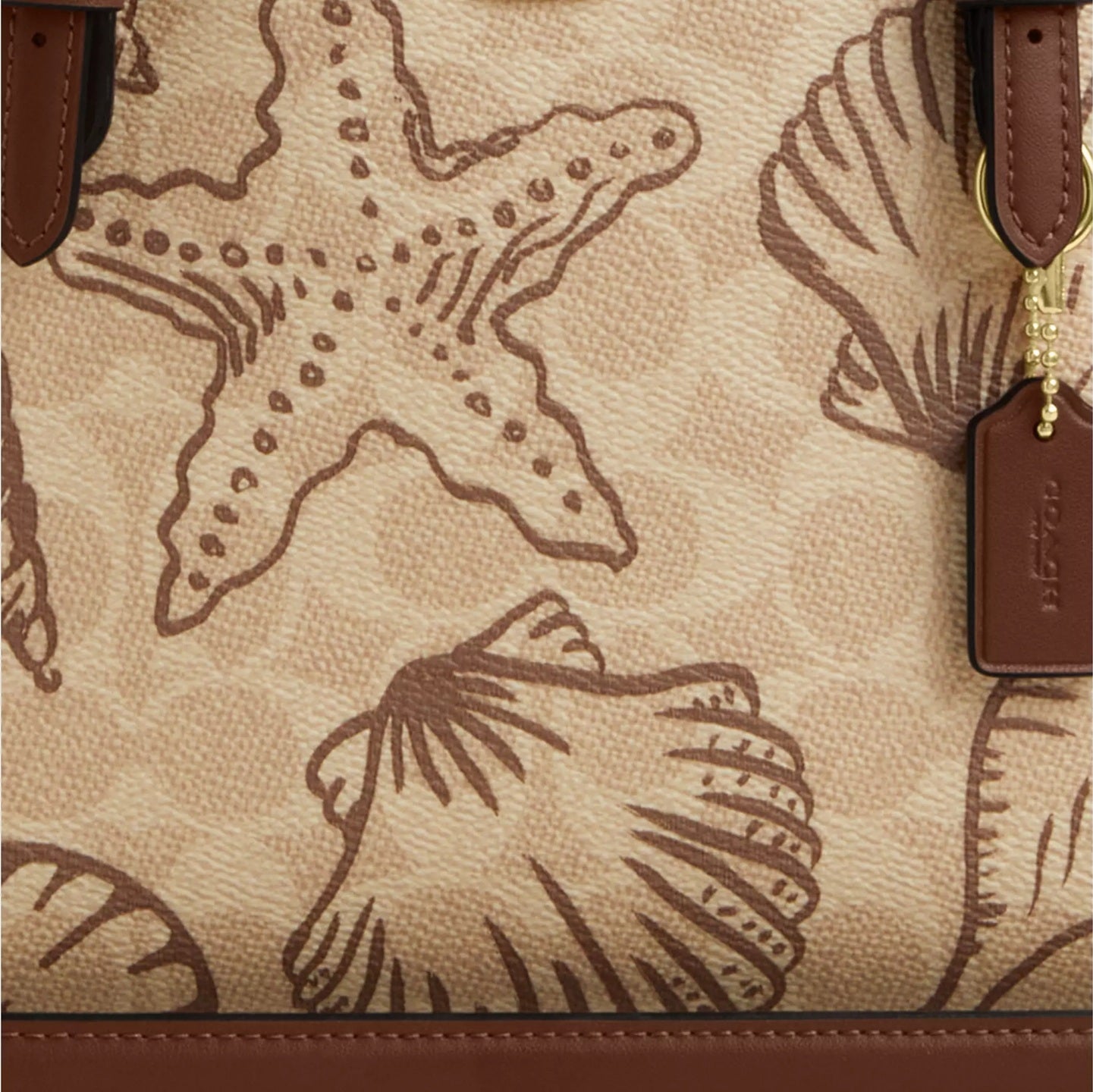 Mollie Tote Bag 25 In Signature Canvas With Shell Print Sand Multi Coach