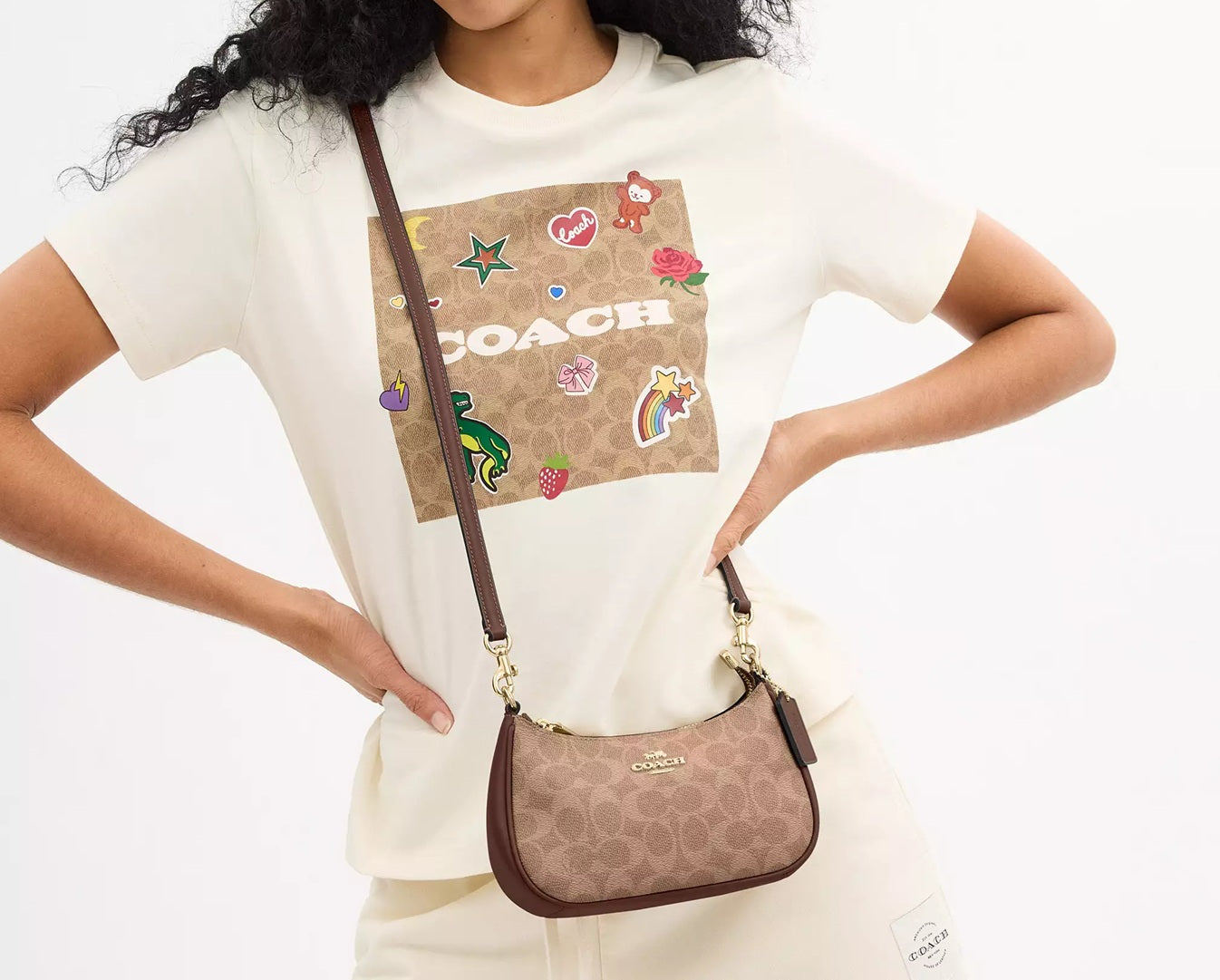 Teri Mini Crossbody Bag In Signature Canvas Tan Brown Coach