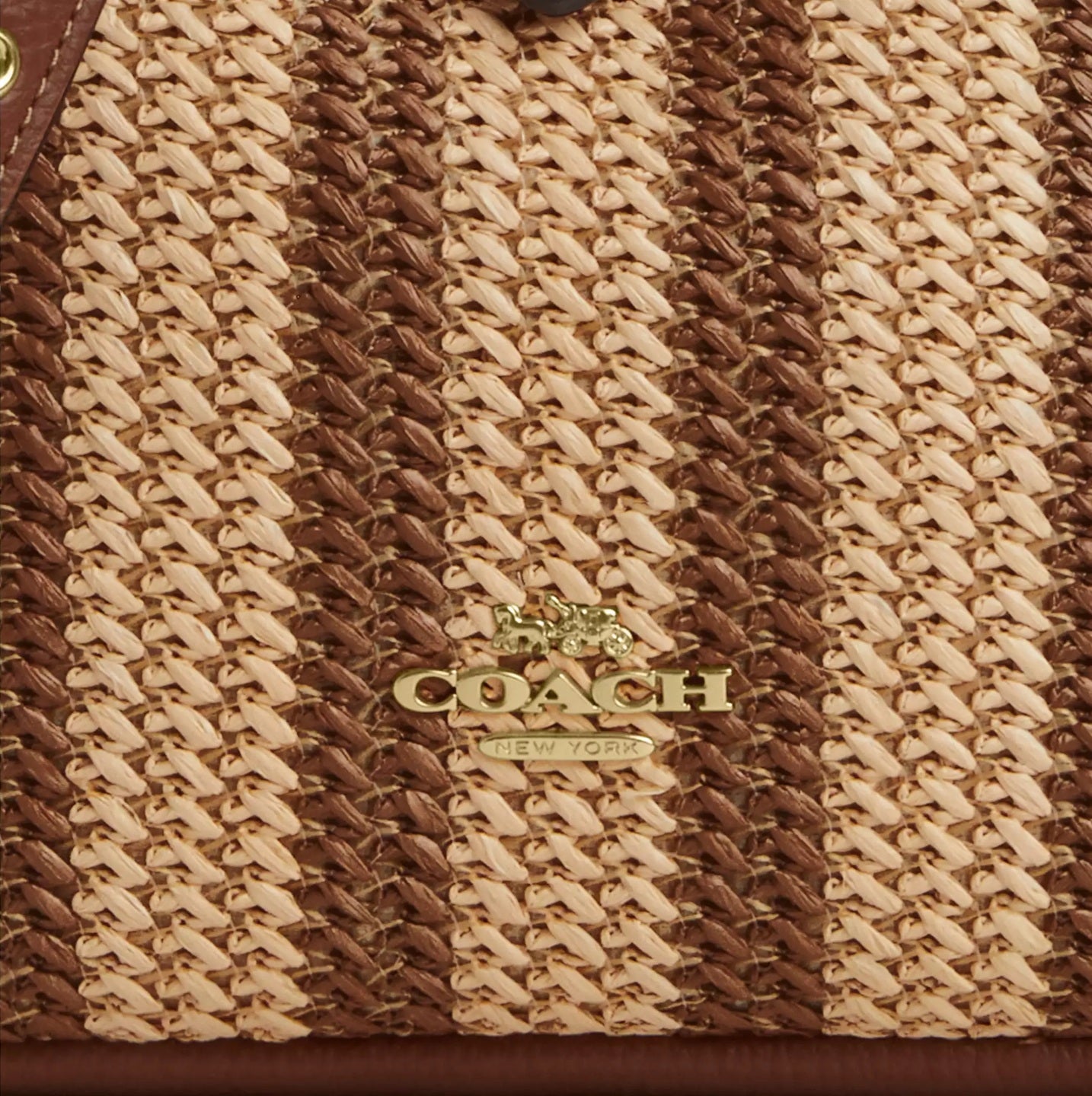 Hadley Mini Crossbody Bag Redwood Multi Coach