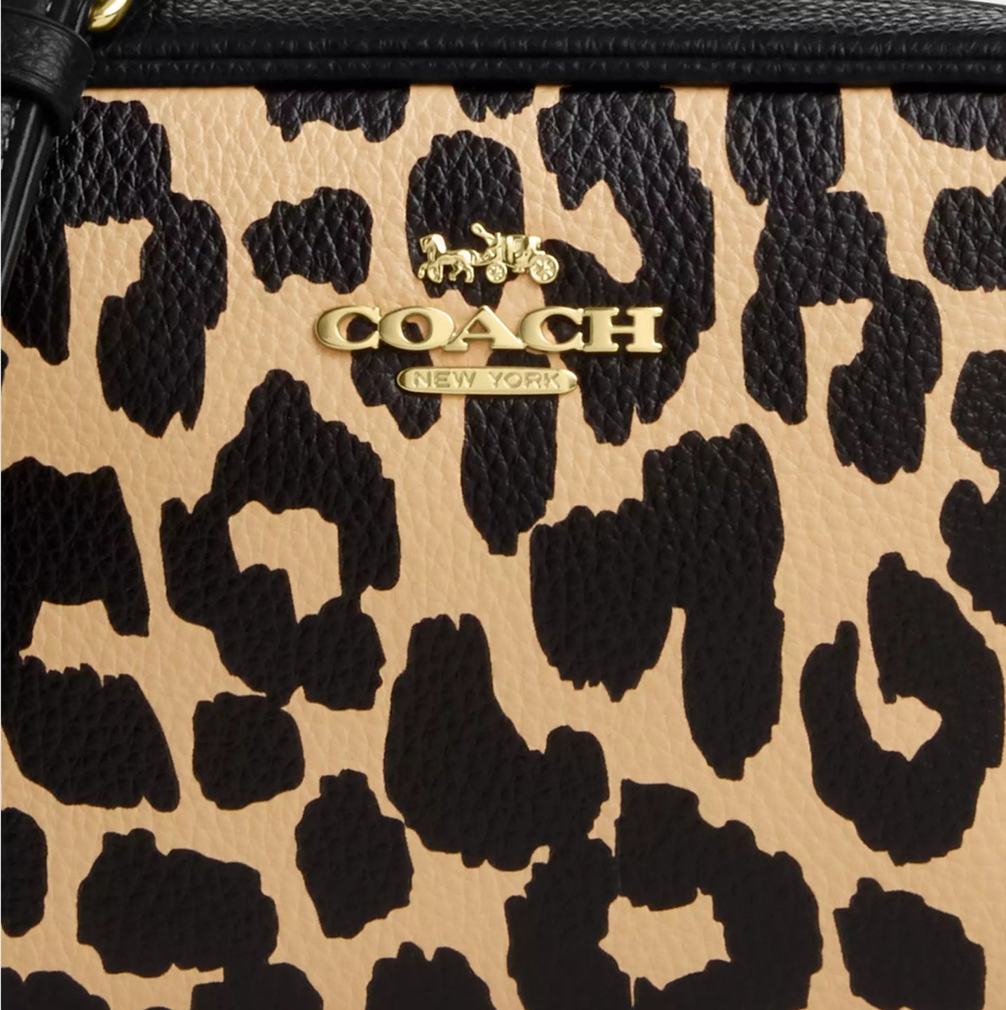 Mini Jamie Camera Bag With Leopard Print Leopard Multi Coach