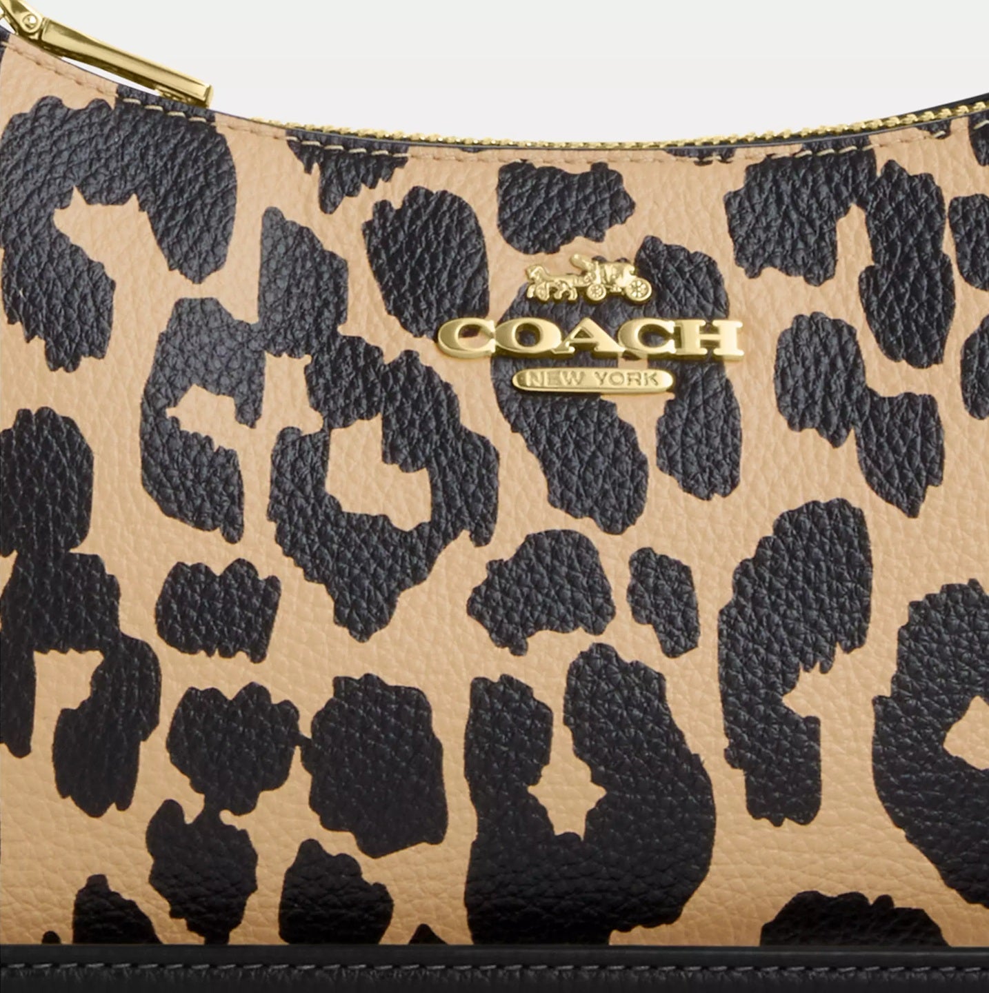 Teri Shoulder Bag With Leopard Print Leopard Multi Coach