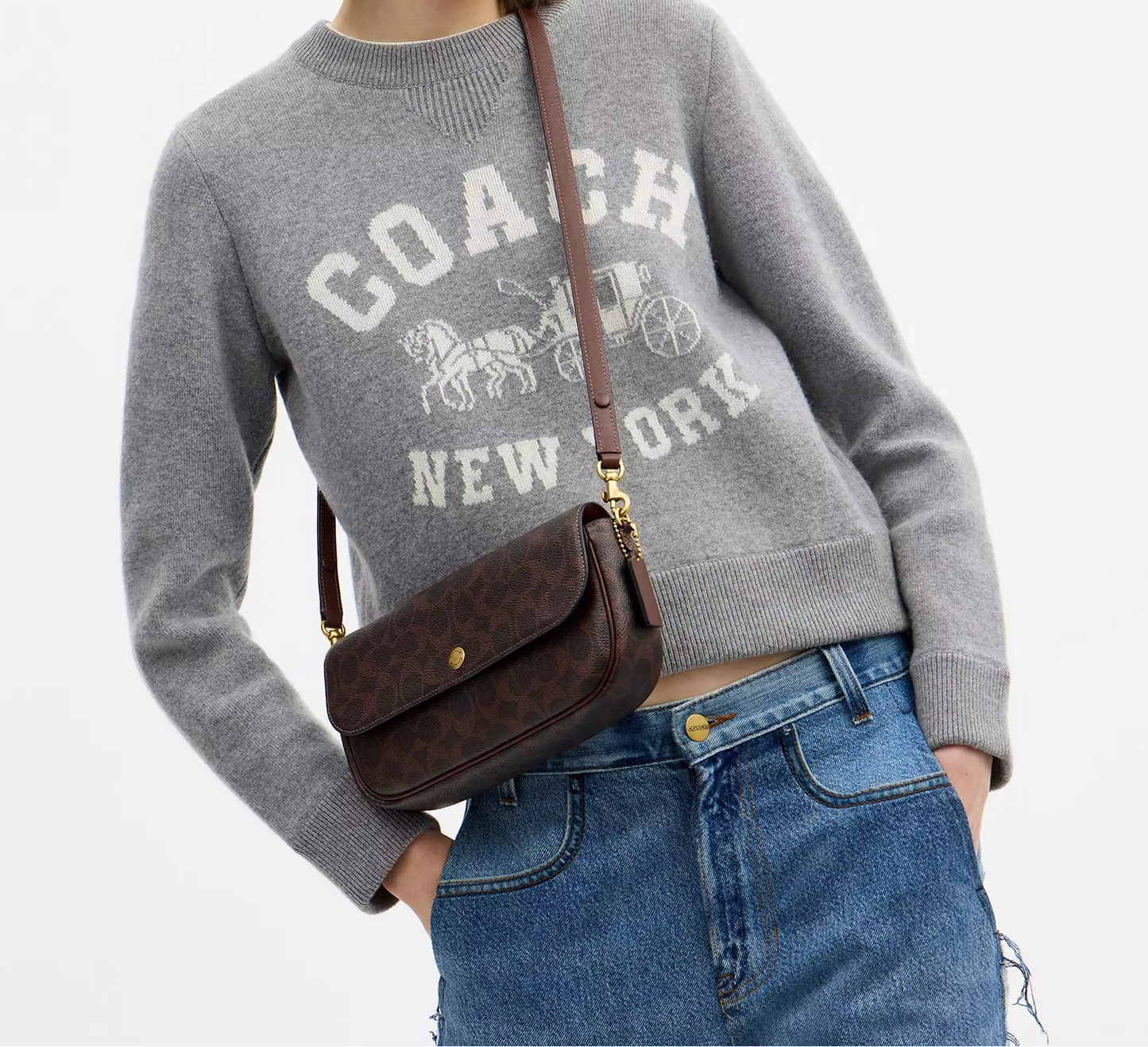 Brook Flap Chain Bag In Signature Canvas Maple Coach