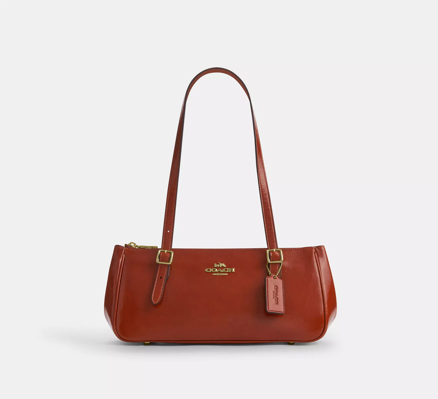 Asher Shoulder Bag Cinnamon Coach