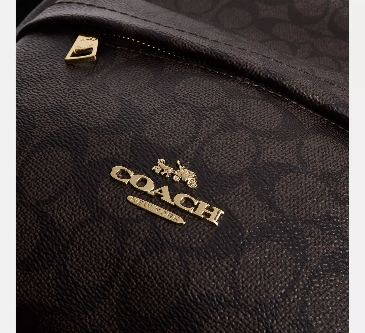 Taylor Small Backpack In Signature Walnut Black Canvas Coach