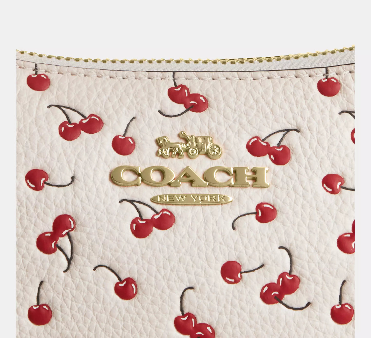 Teri Shoulder Bag With Cherry Print Coach