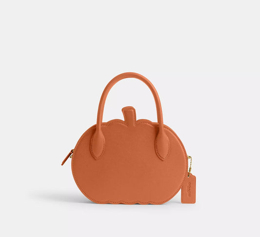 Pumpkin Bag Multi Orange Coach
